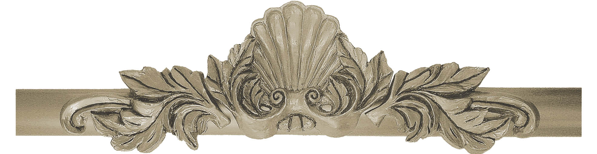 Fern